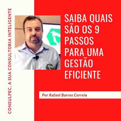 Entenda como fazer a gestão da sua fazenda, seguindo 9 passos.