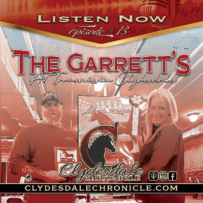 A1 Transmission Clydesdales • Chris & Michelle Garrett!