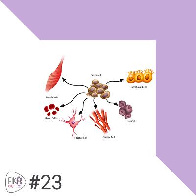 #23 سلول های بنیادی، راهی به سوی نامیرایی #23 سلول های بنیادی، راهی به سوی نامیرایی