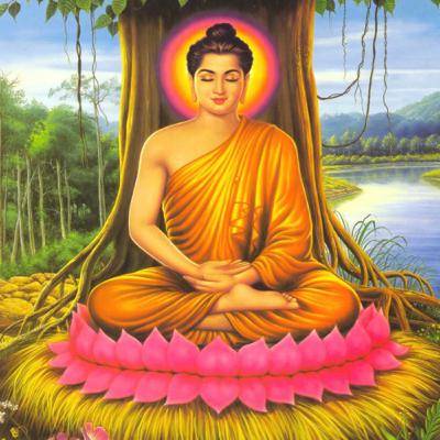 The World’s Religions: Buddhism