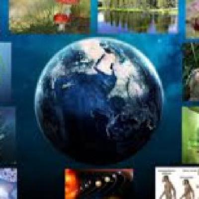 El músculo glándula y el idioma mioquinas