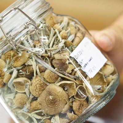A Toronto magic mushroom store has been targeted again in an arson attack. Could legalization be the answer to stopping events like this? Jim @jimrichards1010 talks with @PaulLewinLawyer
