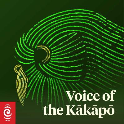 Introducing: Voice of the Kākāpō