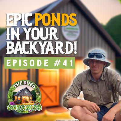 #41 - Building Pond Ecosystems In Backyards | Brendon [Ecosystem Gardener]