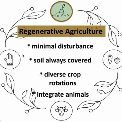 Regenerative Agriculture with David Montgomery | R-Soil REWIND Regenerative Agriculture with David Montgomery | R-Soil REWIND