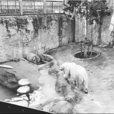 旅遊記者最沈重、最罪惡的時刻！那些該做與不該做之間的灰色地帶 | 關於社畜