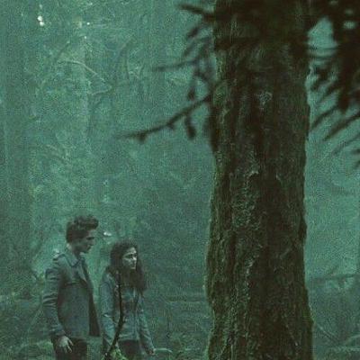 Novelas juveniles. Crepúsculo. Luna nueva. Novelas juveniles. Crepúsculo. Luna nueva.