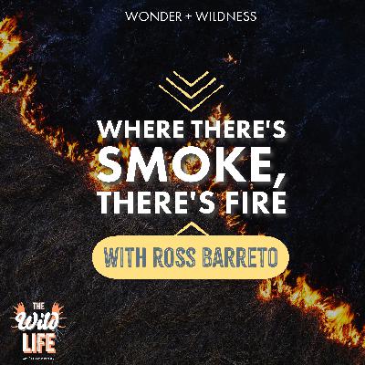 Where There's Smoke, There's Fire—with Ross Barreto