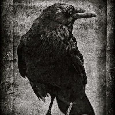 Mentiras Eternas, Acto II Sesión 36