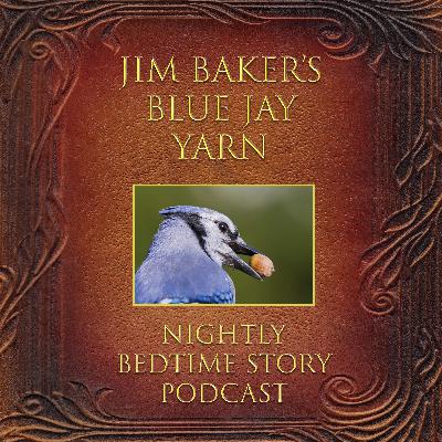 Jim Baker‘s Blue Jay Yarn Jim Baker‘s Blue Jay Yarn