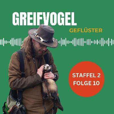 Die Kunst der Beizjagd mit Frettchen - Im interview mit Markus Fahr