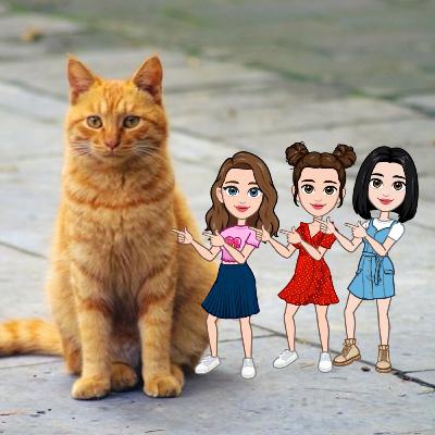 Atirei o pau no gato (remix Youpizada) Atirei o pau no gato (remix Youpizada)