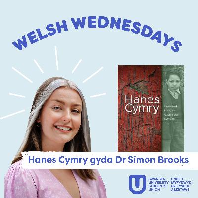 Hanes Cymry: Lleiafrifoedd Ethnig a'r Gwareiddiad Cymraeg