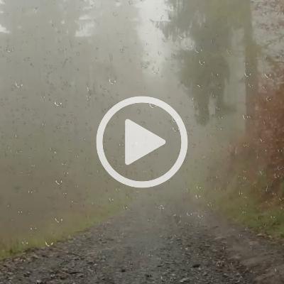 Go to Sleep with Thunder & Rain Sounds (1-hour video)