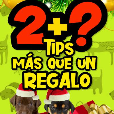 Cap44/ 5 Tips - Mas Que Un Regalo