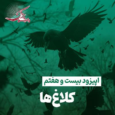 کلاغ ها کلاغ ها