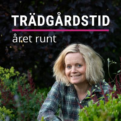 20 Mina tre största trädgårdsmisstag