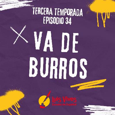 3x34 ¡VA DE BURROS! 3x34 ¡VA DE BURROS!