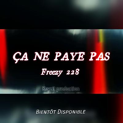 Freezy 228 Ça Ne Paye Pas