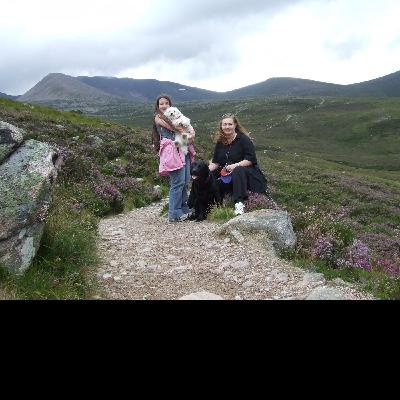 Episode 290 - twenty years of dog podcasting Episode 290 - twenty years of dog podcasting