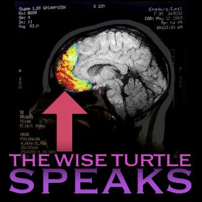 TWTS – Brains Are Global Recommendation Bots TWTS – Brains Are Global Recommendation Bots