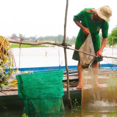 Người cũ cảnh xưa: Có một miền Tây mùa lụt năm xưa