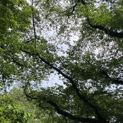 SCB PODCAST#174『FreshGreenSeasonBookList2025 Takada Select』