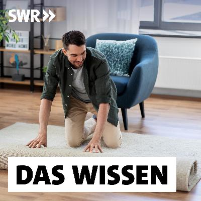 Wenn die Wohnung krank macht – Schadstoffe in Möbeln, Teppichen, Farben