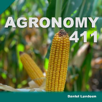 Corn Disease Update
