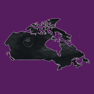 14. Taaqtumi: And then everyone dies.