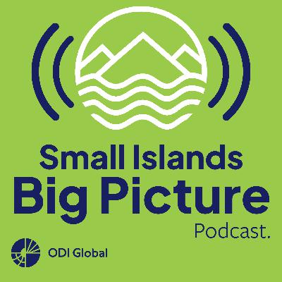 Protecting our oceans: is impact investing the big ticket for small islands?
