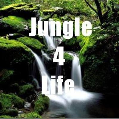 Jungle 4 Life pt 4 Jungle 4 Life pt 4