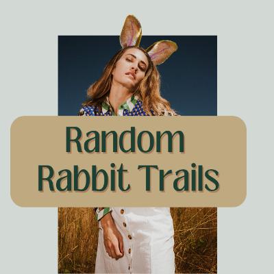 Random Rabbit Trails - Boat Trip, Dream, Quality of Things