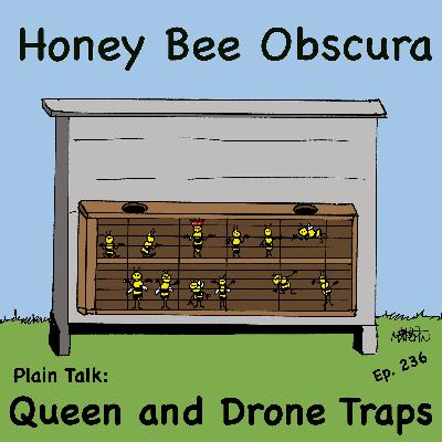 Plain Talk: Queen and Drone Traps (236)