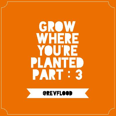 Episode 11: Grow Where You’re Planted Part: 3