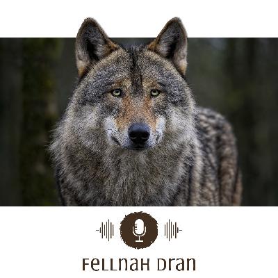 #10: Der Wolf im Fadenkreuz der Politik