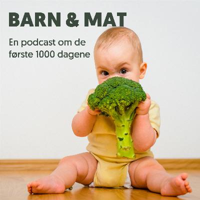 Anna Werenskiold fra Geitmyra om matkultur og sosiokulturelle forskjeller.