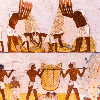 Ramses Street: Ancient Egypt in Colonial Australia - Live at the AM