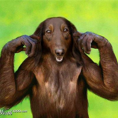 Crossbreed Ur Face Crossbreed Ur Face