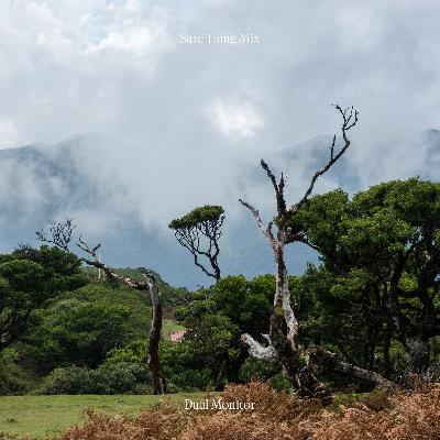 Sure Thing Mix 143: Dual Monitor Sure Thing Mix 143: Dual Monitor