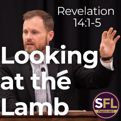 Looking at the Lamb (Revelation 14:1-5)