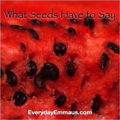 Episode 51: What Seeds Have to Say Episode 51: What Seeds Have to Say