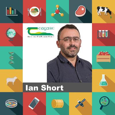 Eleven: Broadleaf Tree Plantations Increasing in Ireland