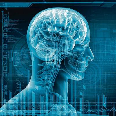 #014 Como a minha mente processa