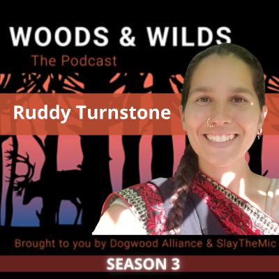 Woods & Wilds: The Podcast | Ruddy Turnstone