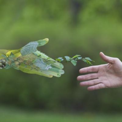 Gestão Ambiental nas Empresas
