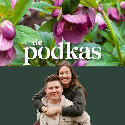 Onze zaaitips voor een goede start | Vroege bloeiers in de tuin | Helleborus en toverhazelaar - De Podkas #S4E1