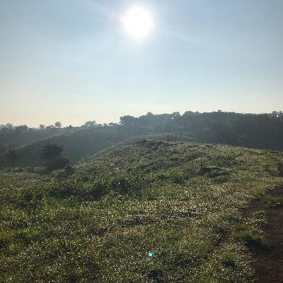 Selamat Pagi