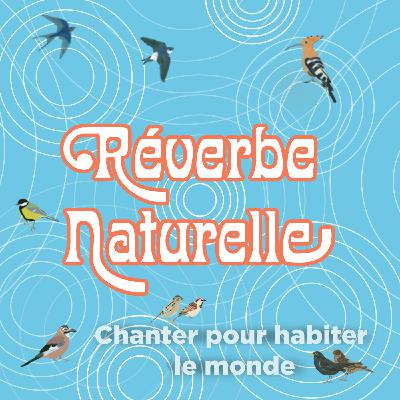 Chanter pour habiter le monde : musique et oiseaux, avec Marylou Sharrock