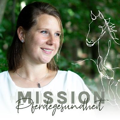 [MISSION OFFENSTALL] Winter, Jungpferd und Problemlösungen